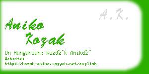 aniko kozak business card